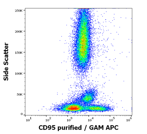 Purified Anti-Human CD95 (FAS) (EOS9.1)