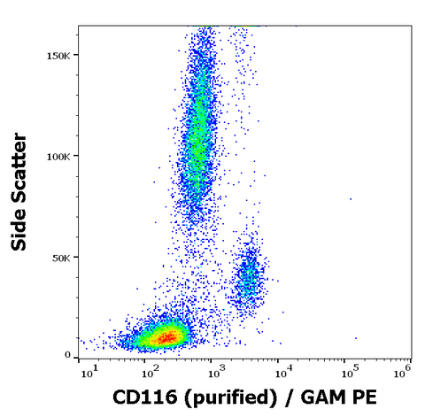 Purified Anti-Human CD116 (4H1)
