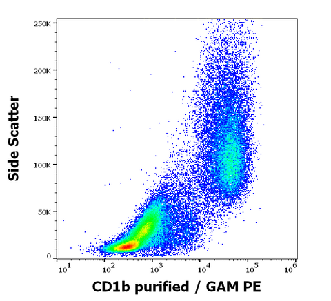 Purified Anti-Human CD1b (SN13)