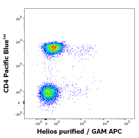 Purified Anti-Human/Mouse Helios (22F6)