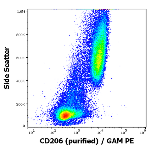 Purified Anti-Human CD206 (15-2)