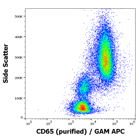 Purified Anti-Human CD65 (VIM8)