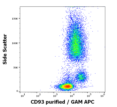 Purified Anti-Human CD93 (VIMD2)