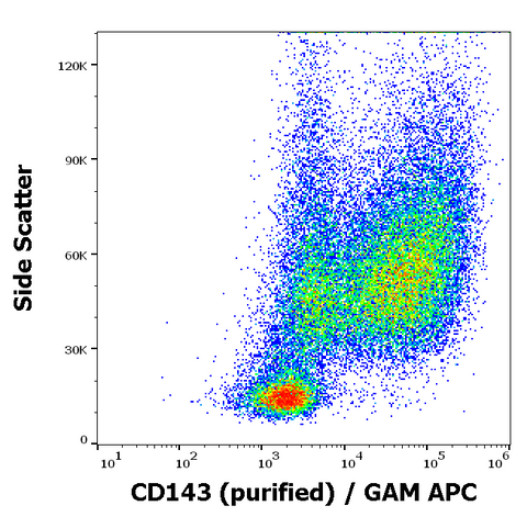 Purified Anti-Human CD143 (5-369)