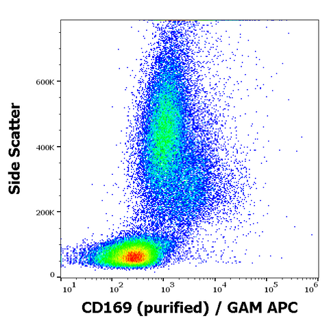 Purified Anti-Human CD169 (7-239)