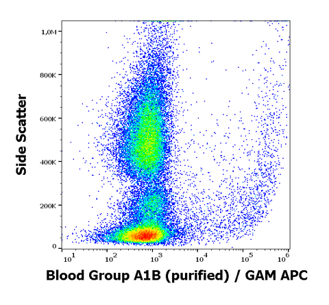 Purified Anti-Human Blood Group A1B (HE-24)