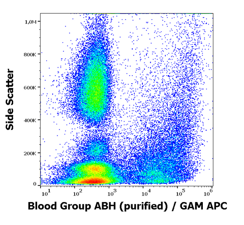 Purified Anti-Human Blood Group ABH (HE-10)