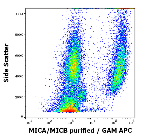 Purified Anti-Human MICA/MICB (6D4)