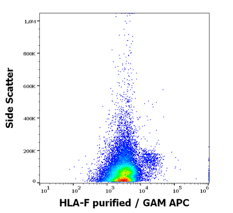Purified Anti-Human MHC Class I (HLA-F) (3D11)