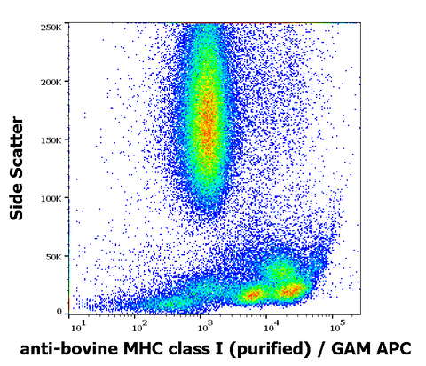 Purified Anti-Human MHC Class I (a+b2m chains) (IVA26)