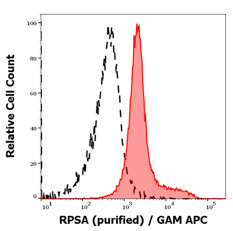 Purified Anti-Human/Mouse RPSA (RP-01)