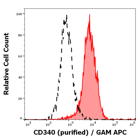 Purified Anti-Human CD340 (24D2)