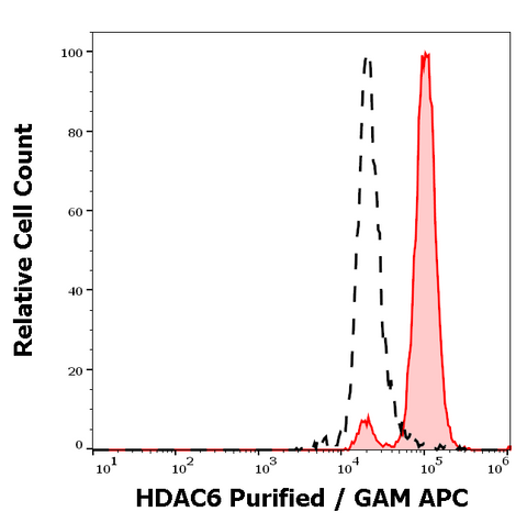Purified Anti-Human HDAC6 (159)