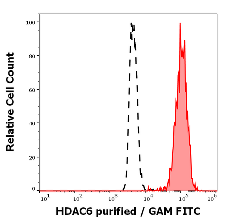 Purified Anti-Human HDAC6 (236)