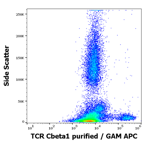 Purified Anti-Human TCR Cβ1 (JOVI.1)