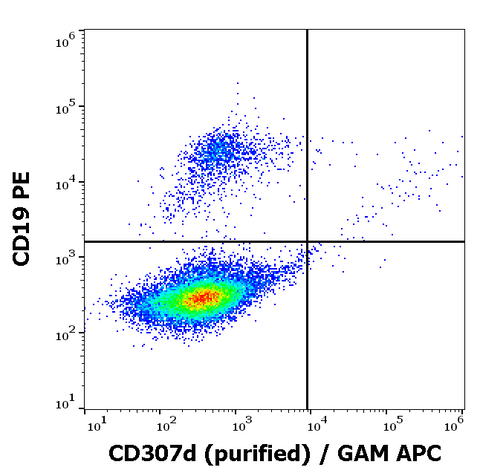 Purified Anti-Human CD307d (A1)