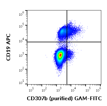 Purified Anti-Human CD307b (B24)