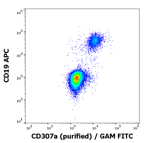 Purified Anti-Human CD307a (E3)