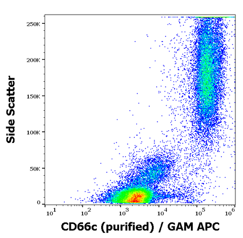 Purified Anti-Human CD66c (B6.2)