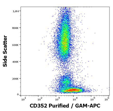 Purified Anti-Human CD352 (hsF6.4.20)