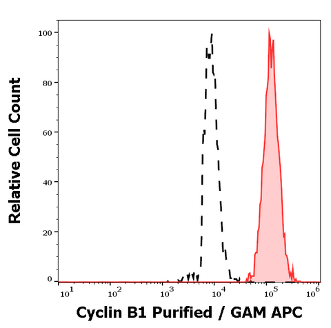 Purified Anti-Mammal Cyclin B1 (V152)