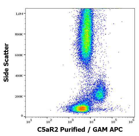 Purified Anti-Human C5aR2 (1D9-M12)