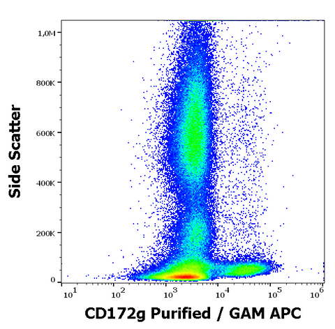 Purified Anti-Human CD172g (OX-119)