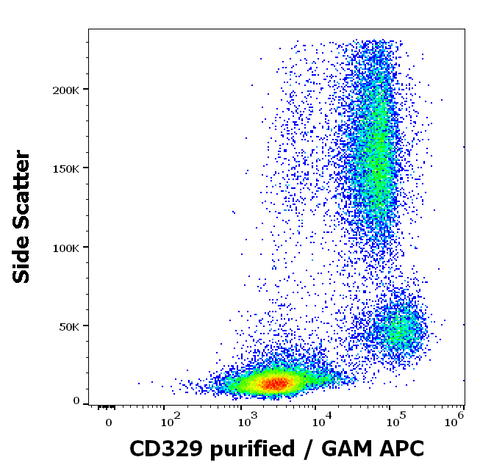 Purified Anti-Human CD329 (Siglec-9) (K8)
