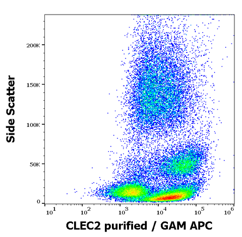 Purified Anti-Human CLEC2 (AYP1)
