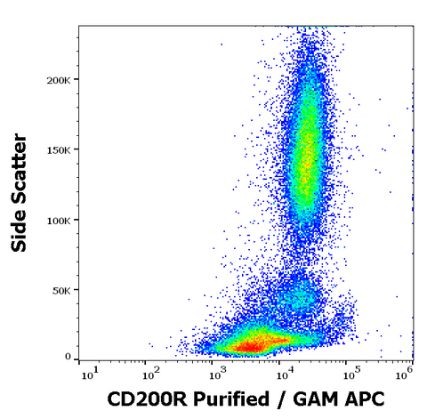 Purified Anti-Human CD200R (OX108)