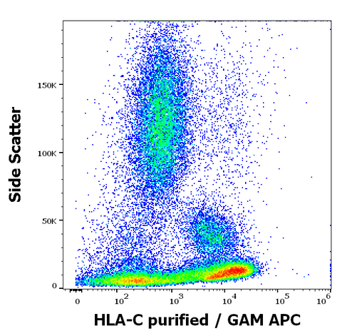 Purified Anti-Human MHC Class I (HLA-C) (DT-9)