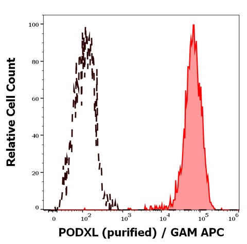 Purified Anti-Human Podocalyxin (PcMab-47)