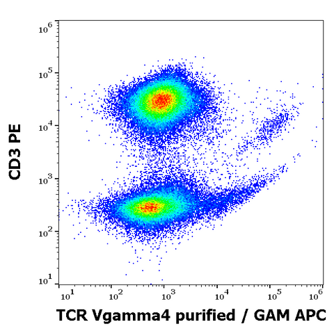 Purified Anti-Human TCR Vg4 (4A11.904)