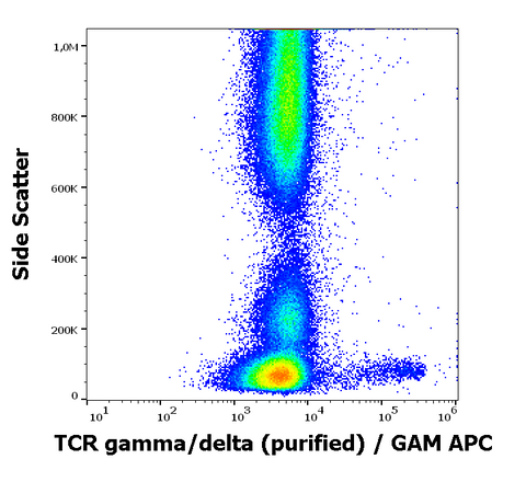 Purified Anti-Human TCR γ/δ (11F2)