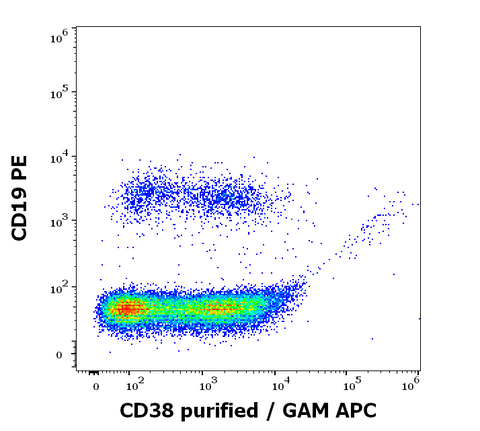 Purified Anti-Human CD38 (HB-7)