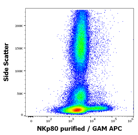 Purified Anti-Human NKp80 (5D12)