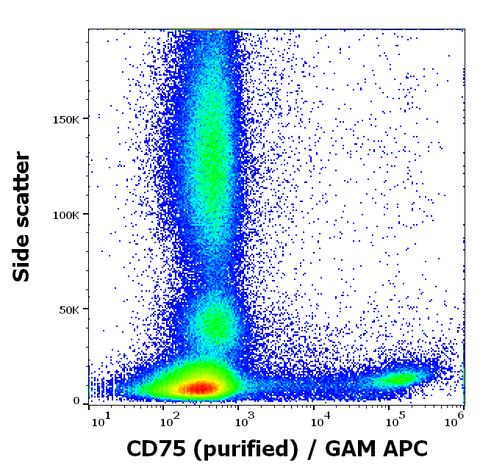 Purified Anti-Human CD75 (LN1)