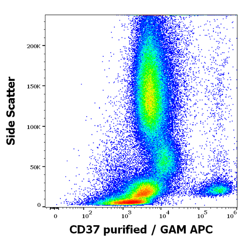Purified Anti-Human CD37 (MB-1)