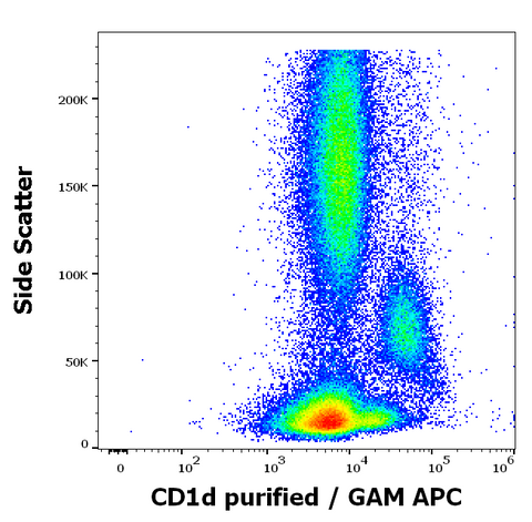Purified Anti-Human CD1d (51.1)
