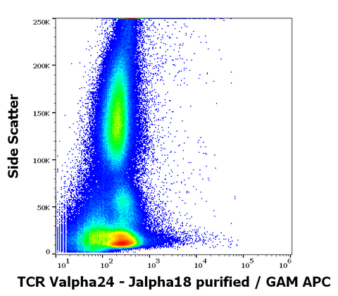 Purified Anti-Human TCR Va24-Ja18 (6B11)