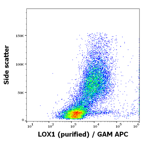 Purified Anti-Human LOX-1 (15C4)