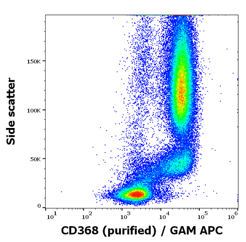 Purified Anti-Human CD368 (9B9)