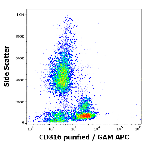 Purified Anti-Human CD316 (8A12)