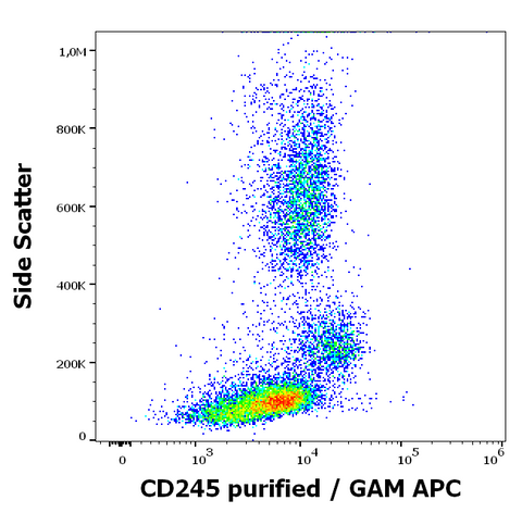 Purified Anti-Human CD245 (DY12)