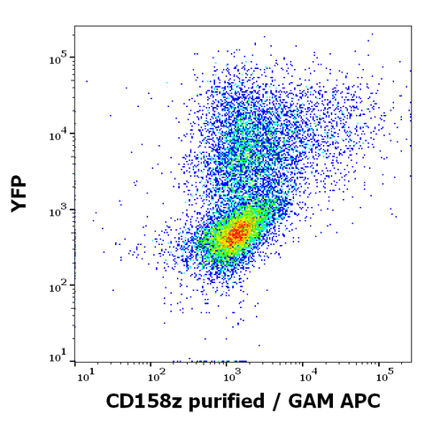 Purified Anti-Human CD158z (CH21)
