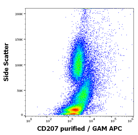 Purified Anti-Human CD207 (2G3)