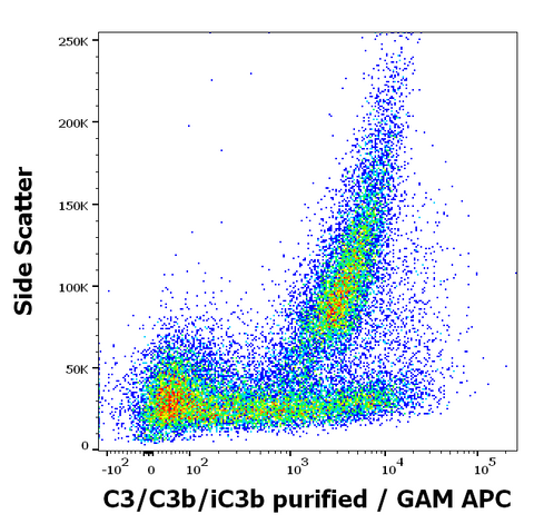 Purified Anti-Human Complement C3/C3B/iC3B (6C9)