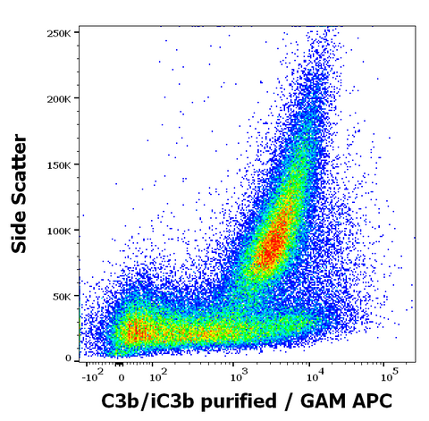 Purified Anti-Human Complement C3B/iC3B (3E7)