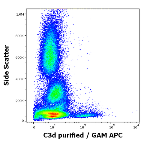 Purified Anti-Human CD3d (BGRL11)