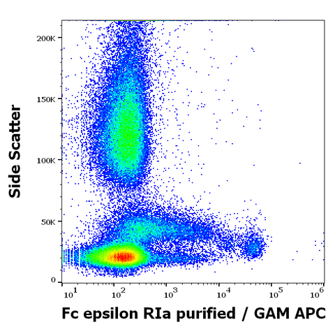 Purified Anti-Human FCeR1 (AER-37)